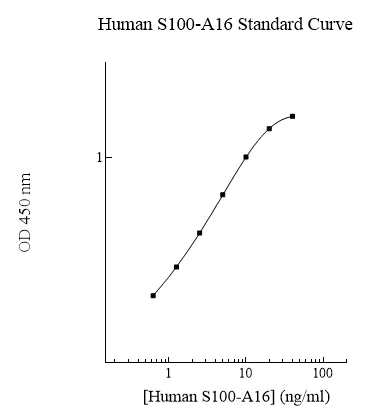 Sandwich ELISA - Human S100A16 ELISA Kit (AB284021)