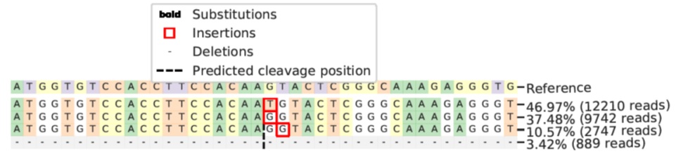 Next Generation Sequencing - Human S100A4 knockout A549 cell line (AB261865), expandable thumbnail