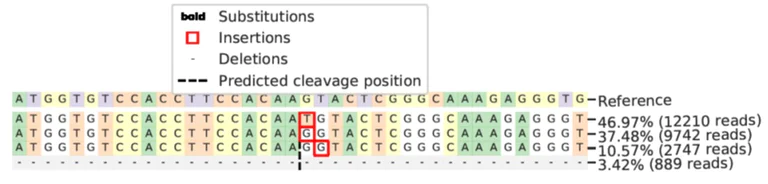 Next Generation Sequencing - Human S100A4 knockout A549 cell line (AB261865)