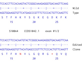 Next Generation Sequencing - Human S100A4 knockout A549 cell line (ab261865), expandable thumbnail