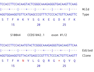 Next Generation Sequencing - Human S100A4 knockout A549 cell line (AB261865)