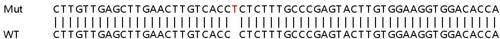 Sanger Sequencing - Human S100A4 knockout HeLa cell lysate (ab257046), expandable thumbnail