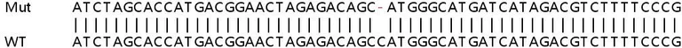 Sanger Sequencing - Human S100P knockout HeLa cell line (AB266026)