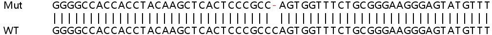 Human S1PR1 (S1P1/EDG1) knockout HeLa cell line
