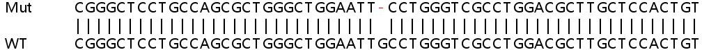 Sanger Sequencing - Human S1PR5 (EDG8) knockout HeLa cell line (AB265613), expandable thumbnail