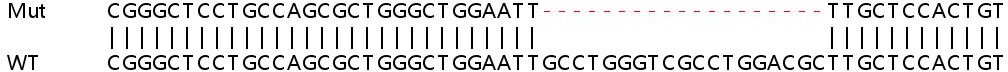 Sanger Sequencing - Human S1PR5 (EDG8) knockout HeLa cell line (AB265613), expandable thumbnail