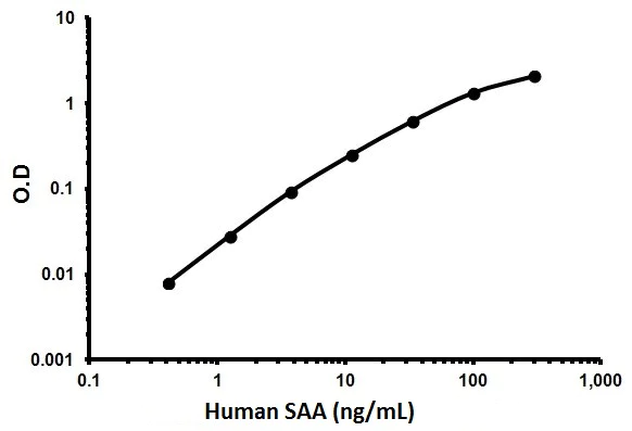Sandwich ELISA - Human SAA ELISA Kit (SAA1) (AB100635)