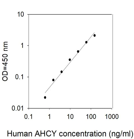 Sandwich ELISA - Human SAHH ELISA Kit (AB309446)
