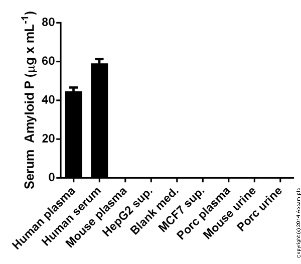 Sandwich ELISA - Human SAP ELISA Kit (APCS) (AB137970)
