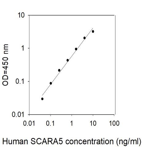 Sandwich ELISA - Human SCARA5 ELISA Kit (AB314386)