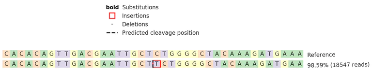 Next Generation Sequencing - Human SCARB2 knockout MCF7 cell line (AB274952)