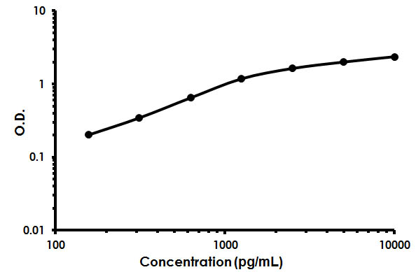 Sandwich ELISA - Human SCGB1A1 ELISA Kit (uteroglobin) (AB213823)