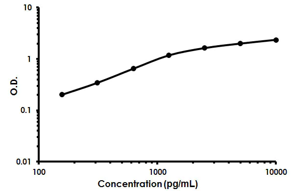 Sandwich ELISA - Human SCGB1A1 ELISA Kit (uteroglobin) (AB213823)