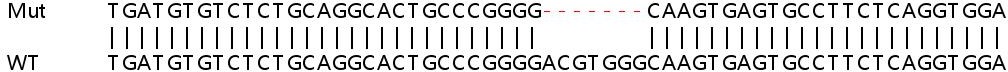Sanger Sequencing - Human SCRIB (SCRIBBLE) knockout HeLa cell line (AB265190), expandable thumbnail