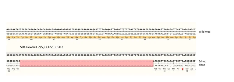Next Generation Sequencing - Human SDC4 knockout PC-3 cell line (AB290478)