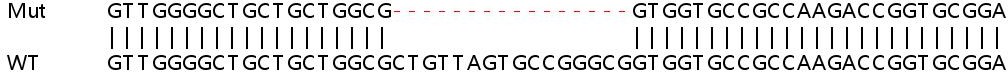 Sanger Sequencing - Human SDF2L1 knockout HEK-293T cell lysate (AB258652), expandable thumbnail