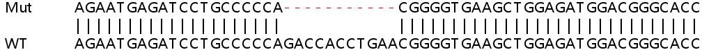 Sanger Sequencing - Human SDF4 knockout HEK-293T cell lysate (AB258653)