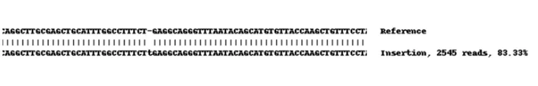 Next Generation Sequencing - Human SDHA knockout HEK-293 cell line (AB261853)