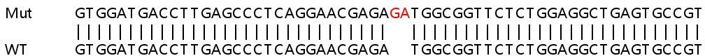 Sanger Sequencing - Human SDHD knockout HEK-293T cell line (AB266491), expandable thumbnail