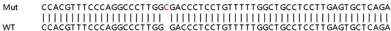 Sanger Sequencing - Human SECTM1 knockout A549 cell line (AB267020)