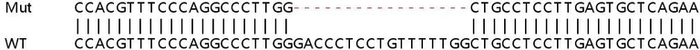 Sanger Sequencing - Human SECTM1 knockout A549 cell line (AB267020)