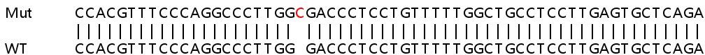 Sanger Sequencing - Human SECTM1 knockout A549 cell lysate (AB259103), expandable thumbnail