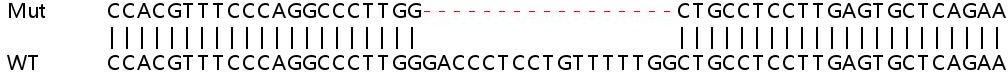 Sanger Sequencing - Human SECTM1 knockout A549 cell lysate (AB259103), expandable thumbnail