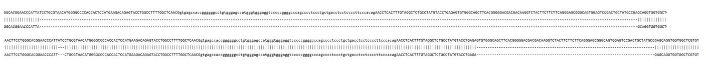 Sanger Sequencing - Human SEMA4C Knockout A549 cell line (AB324217), expandable thumbnail