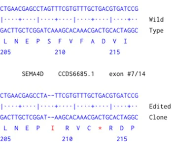 Next Generation Sequencing - Human SEMA4D knockout A549 cell line (AB288912)