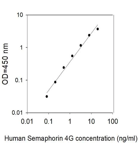 Sandwich ELISA - Human SEMA4G ELISA Kit (AB314391)