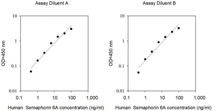Sandwich ELISA - Human Sema6A ELISA Kit (AB314392), expandable thumbnail
