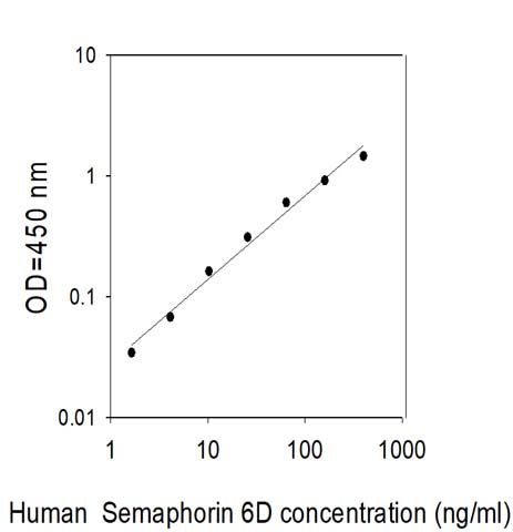 Sandwich ELISA - Human SEMA6D ELISA Kit (AB314394), expandable thumbnail