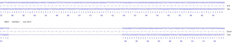 Next Generation Sequencing - Human SEMA7A knockout A549 cell line (AB289026)
