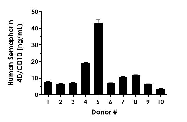 Sandwich ELISA - Human Semaphorid 4D/CD10 ELISA Kit (AB282868)