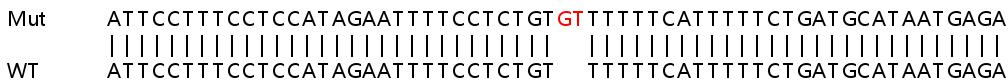 Sanger Sequencing - Human SENP5 knockout HeLa cell lysate (AB259105), expandable thumbnail