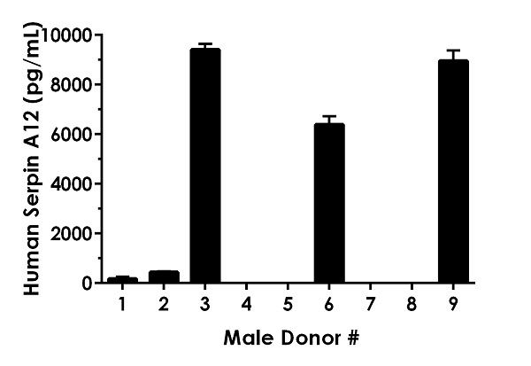 Sandwich ELISA - Human Serpin A12 ELISA Kit (AB239430)