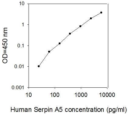 ELISA - Human Serpin A5 ELISA Kit (AB277462), expandable thumbnail