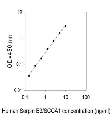 Sandwich ELISA - Human Serpin B3/SCCA ELISA Kit (AB314341)