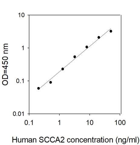 Sandwich ELISA - Human SerpinB4/SCCA-2 ELISA Kit (AB314387)