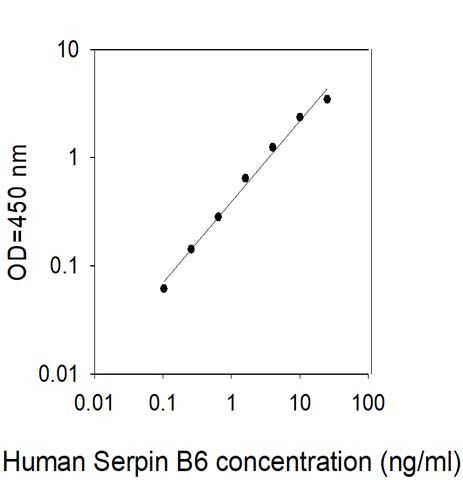 Sandwich ELISA - Human SerpinB6/CAP ELISA Kit (AB314342)