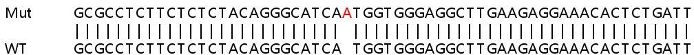 Human SERTAD3 knockout HeLa cell lysate