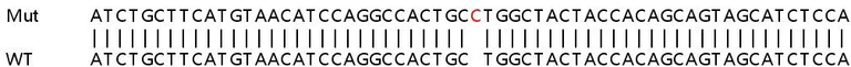 Sanger Sequencing - Human SETD2 (KMT3A / HYPB / HIF-1) knockout HeLa cell lysate (AB257273)