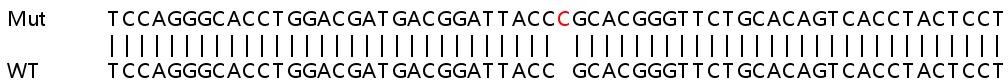 Sanger Sequencing - Human SETD7 (SET7) knockout HeLa cell line (AB265770), expandable thumbnail