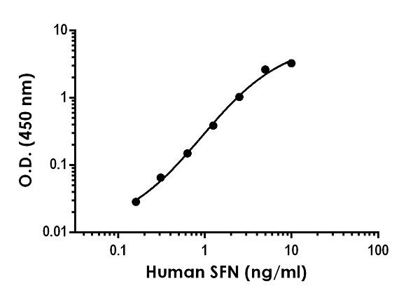 Sandwich ELISA - Human SFN ELISA Kit (AB245711), expandable thumbnail