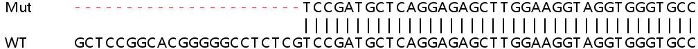 Sanger Sequencing - Human SGTA knockout HEK-293T cell line (AB266809)