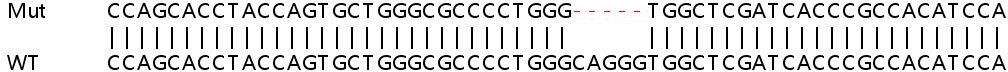 Sanger Sequencing - Human SH2D4A knockout HeLa cell line (AB265701)