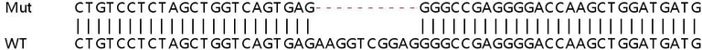 Sanger Sequencing - Human SH3GL1 (EEN) knockout HEK-293T cell lysate (AB259109)