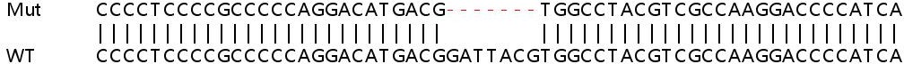 Sanger Sequencing - Human SHC2 knockout HeLa cell line (AB265433)