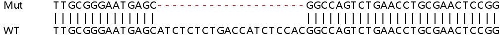 Sanger Sequencing - Human SHC3 (SHCC) knockout HeLa cell line (AB266029)