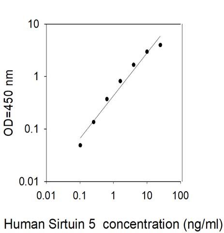 Sandwich ELISA - Human SIRT5 ELISA Kit (AB314348), expandable thumbnail